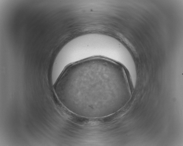 X0000075920209200609291833