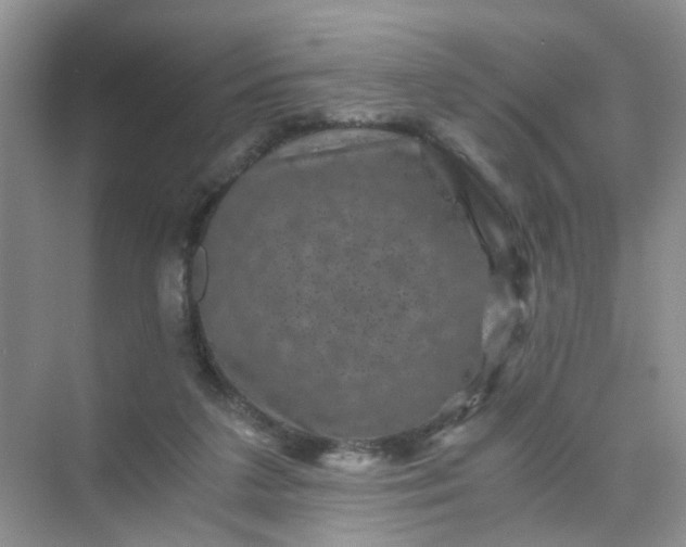 X0000075920211200609291833