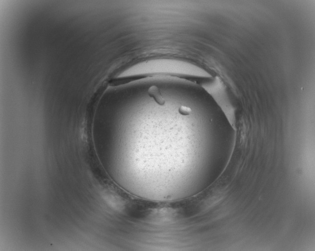 X0000075920212200609291833