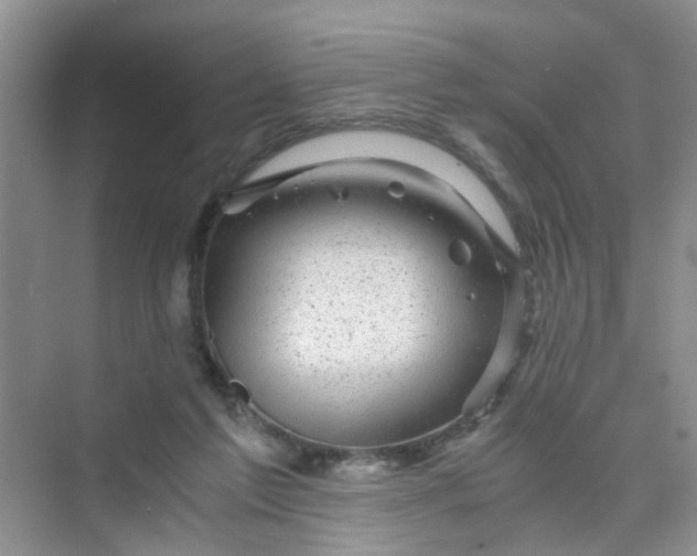 X0000075920213200609291833