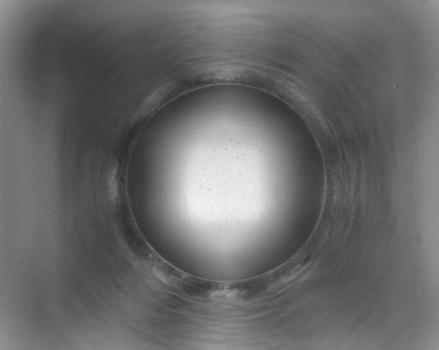 X0000075920216200609291833