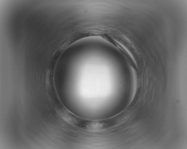 X0000075920217200609291833