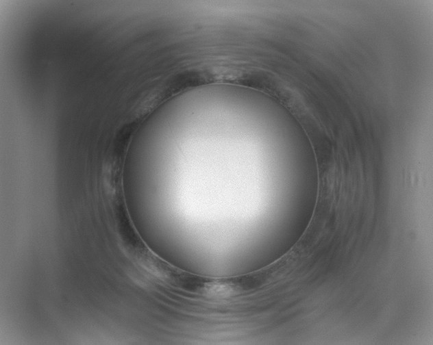 X0000075920218200609291833