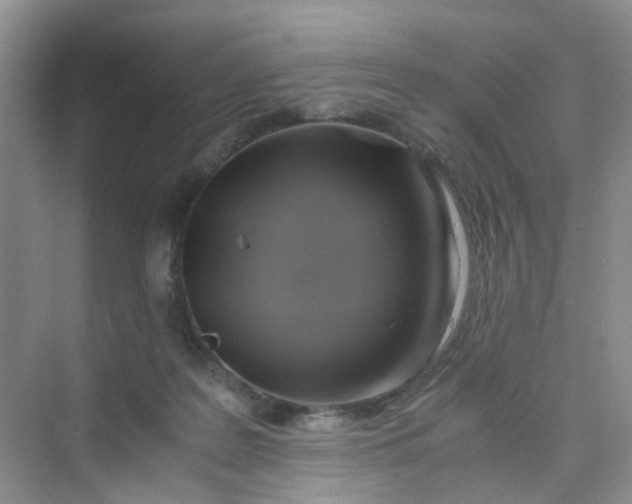 X0000075920219200609291833