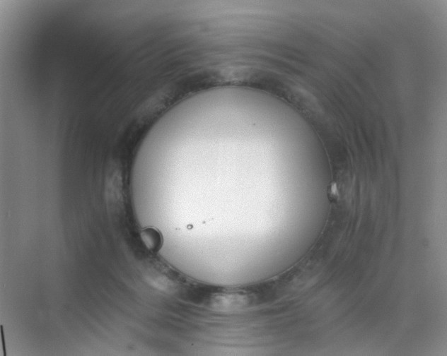 X0000075920220200609291833