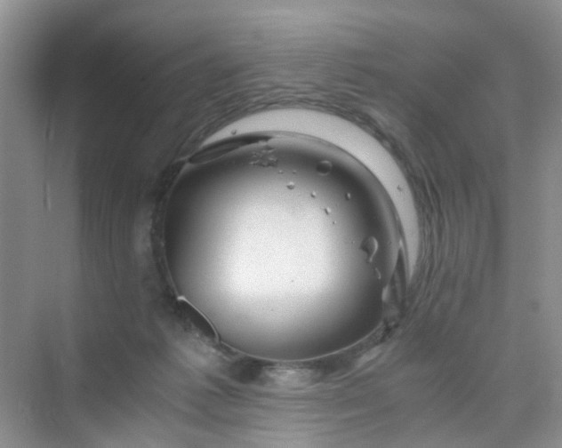 X0000075920221200609291833