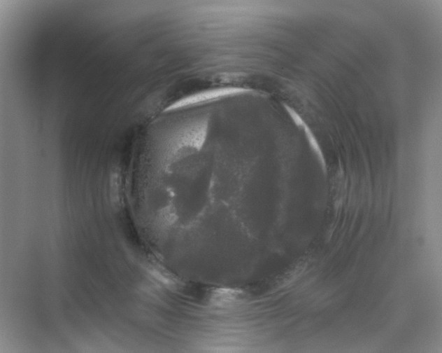 X0000075920222200609291833