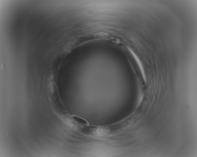 X0000075920223200609291833