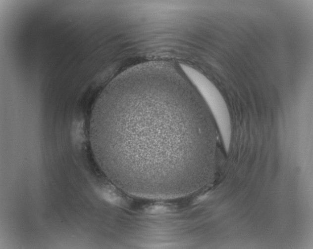 X0000075920224200609291833