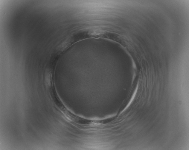 X0000075920227200609291833