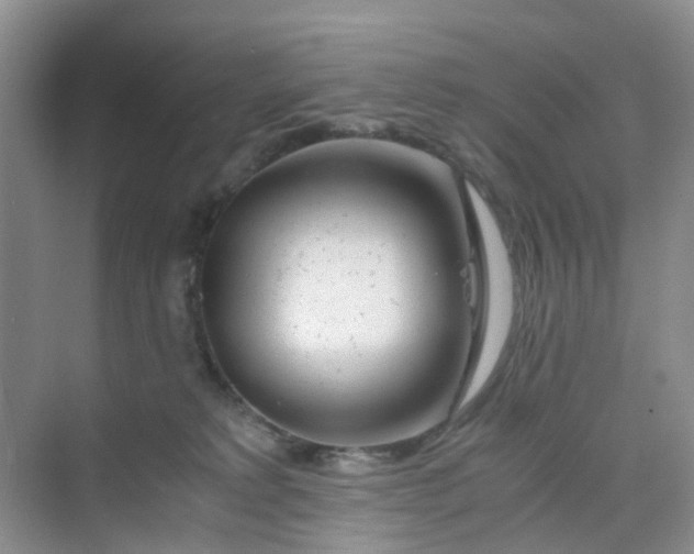 X0000075920229200609291833