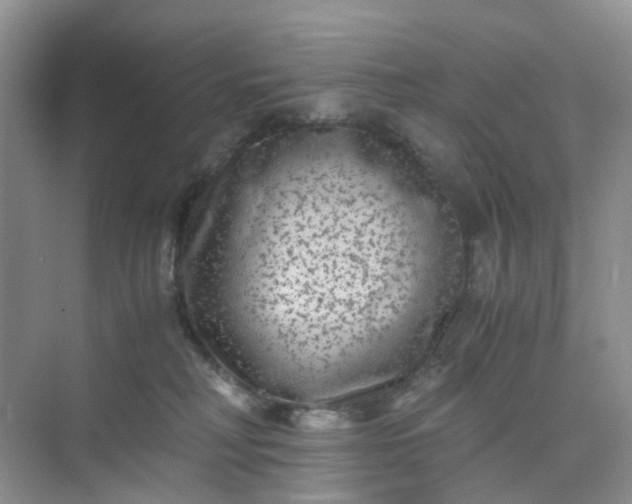 X0000075920230200609291833