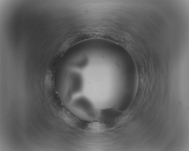 X0000075920231200609291833