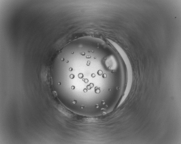 X0000075920233200609291832