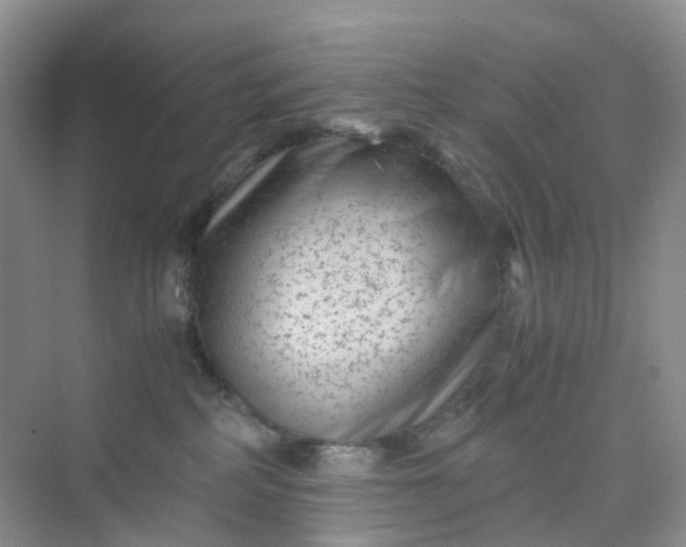 X0000075920234200609291832