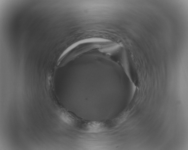 X0000075920235200609291832