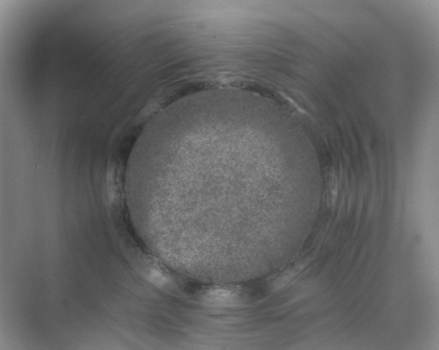 X0000075920236200609291832