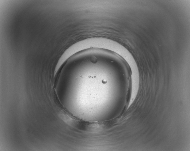 X0000075920237200609291832