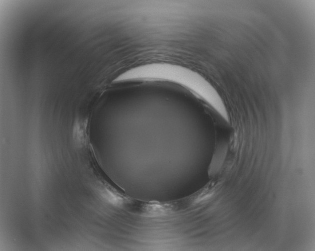 X0000075920239200609291832