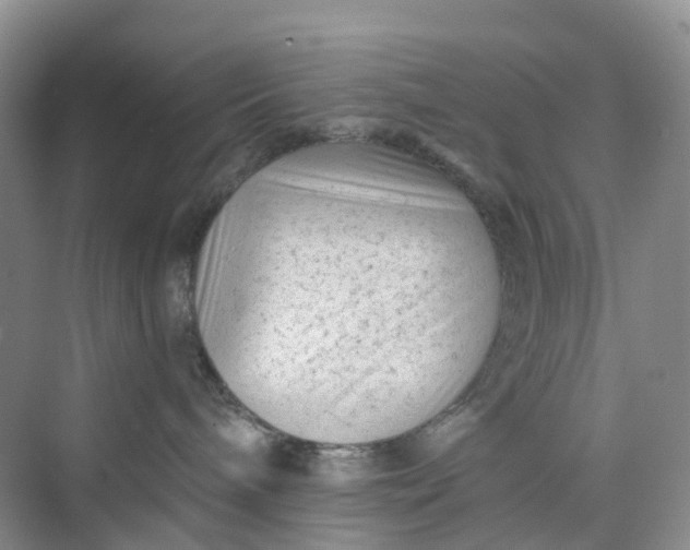 X0000075920240200609291832