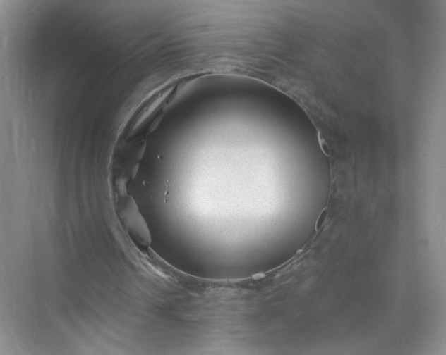 X0000075920242200609291832