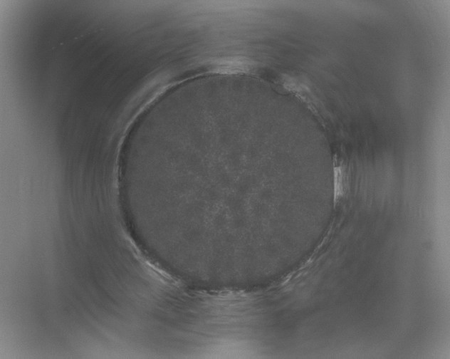 X0000075920243200609291832