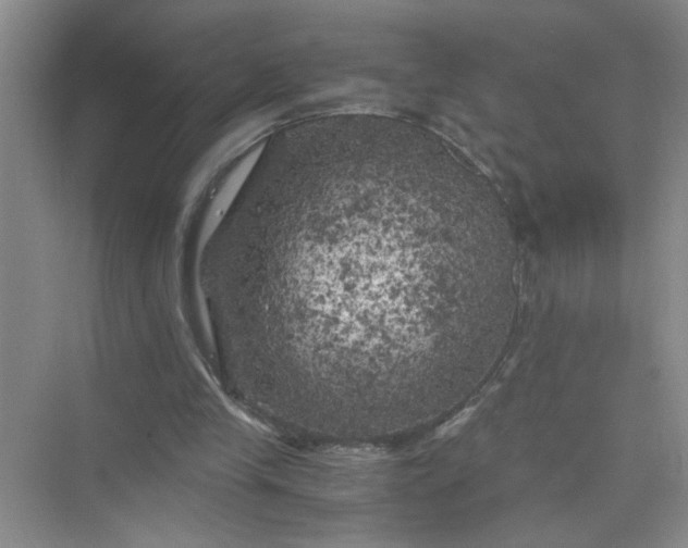 X0000075920245200609291832