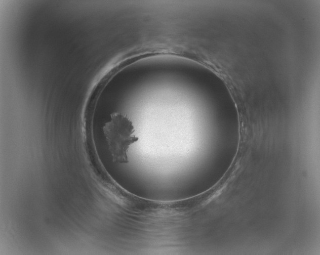 X0000075920246200609291832