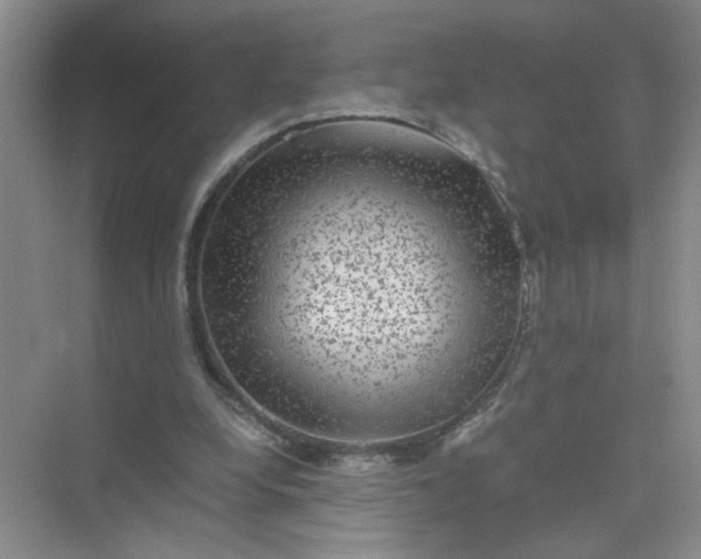 X0000075920248200609291832