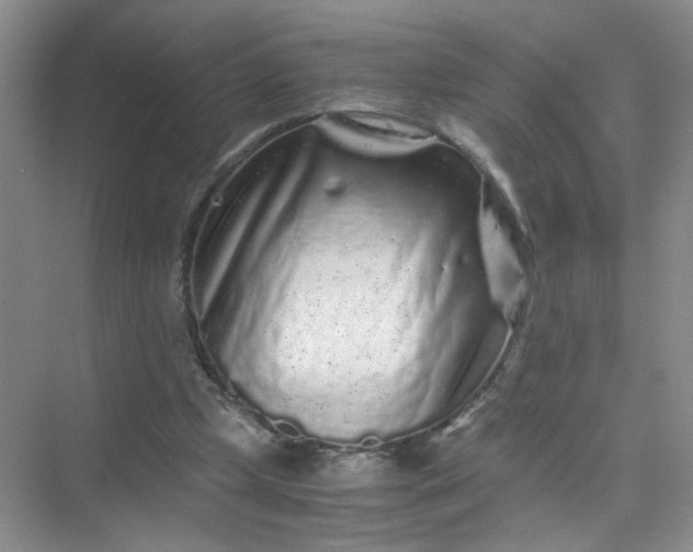 X0000075920249200609291832