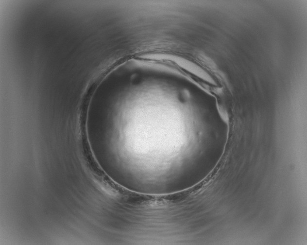 X0000075920250200609291832