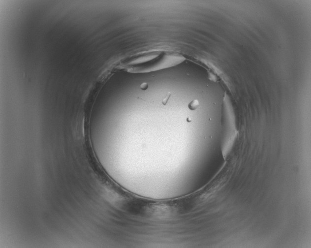 X0000075920253200609291832