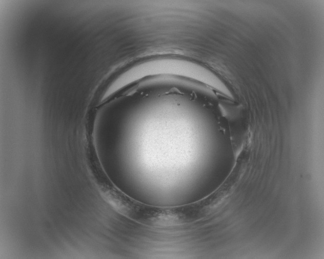 X0000075920256200609291832