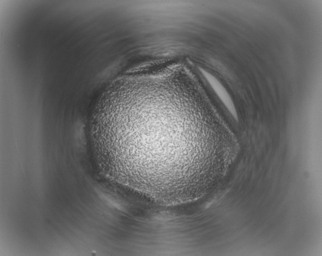 X0000075920258200609291832