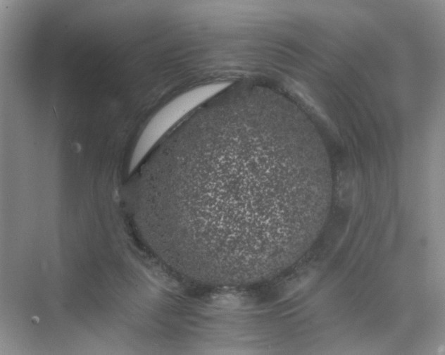 X0000075920259200609291832