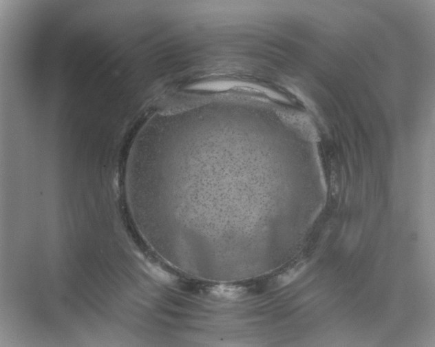 X0000075920261200609291832