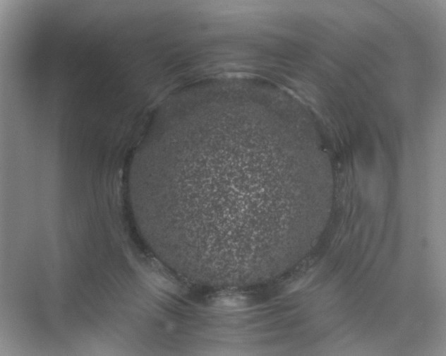 X0000075920263200609291832