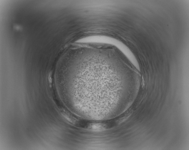 X0000075920264200609291832