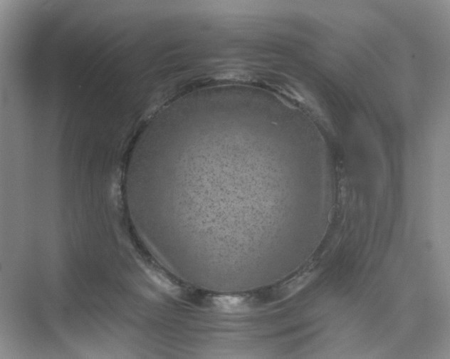 X0000075920265200609291832