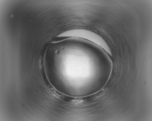 X0000075920266200609291832