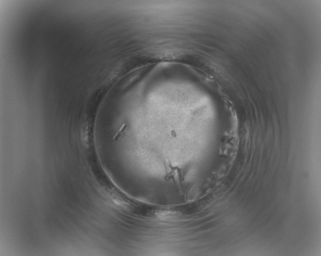 X0000075920268200609291832