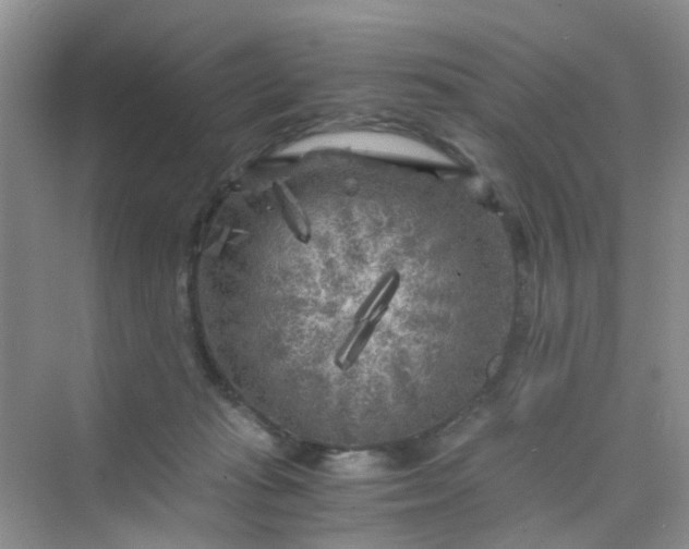 X0000075920269200609291832