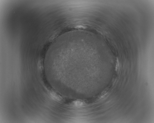 X0000075920272200609291832