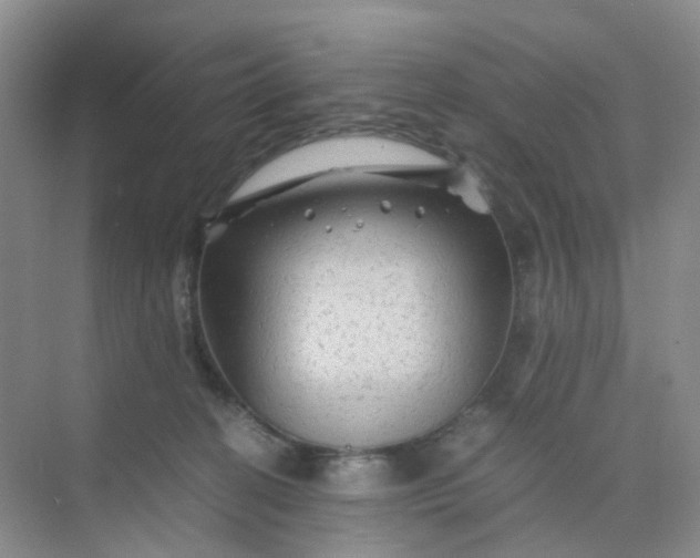 X0000075920274200609291832