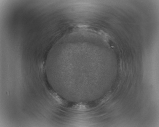 X0000075920276200609291832