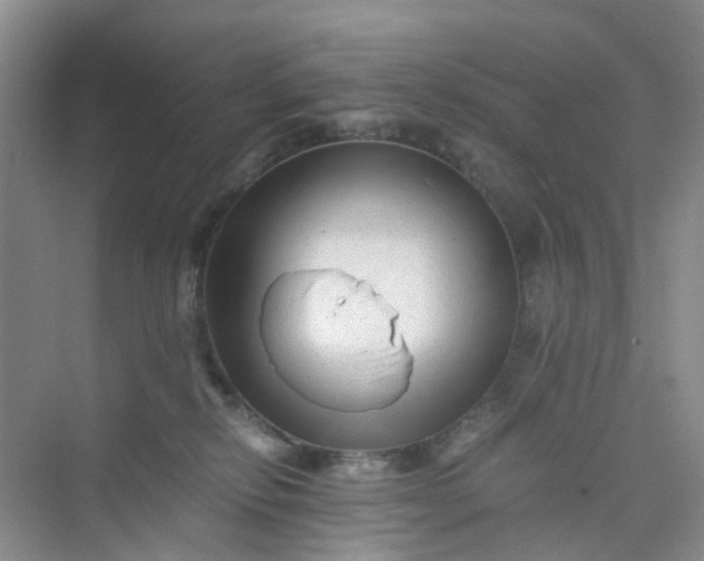 X0000075920278200609291832