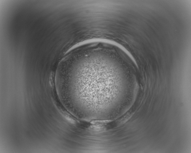 X0000075920280200609291832