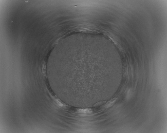 X0000075920281200609291832