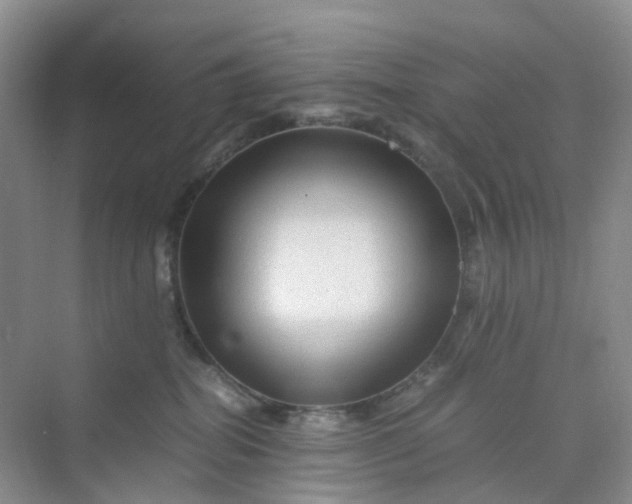 X0000075920282200609291832