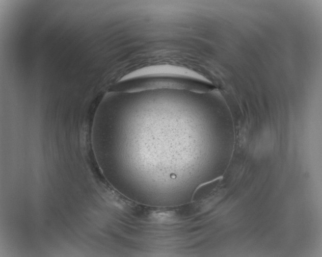 X0000075920283200609291832